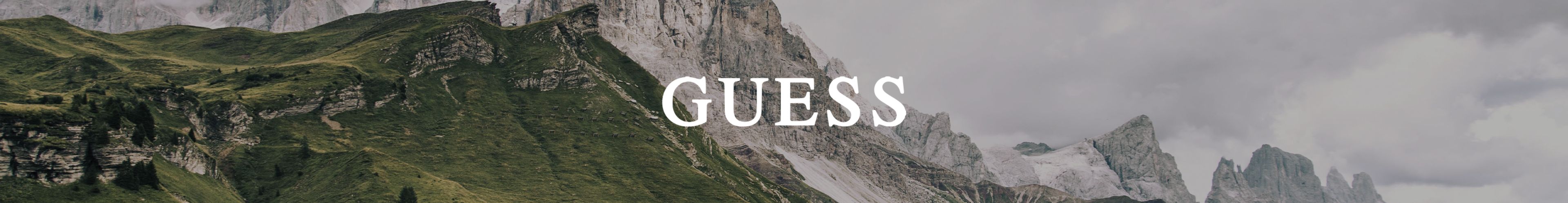Guess