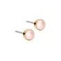 Blomdahl GT Bezel Pearl Ohrringe Titan 15-1324-64