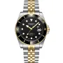 Dissing Diver D1262