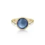 Julie Sandlau Prime Ring Silber Vergoldet RI248GDSACRCZ