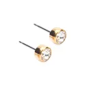 Blomdahl Bezel Ohrringe Titan 15-1324-01