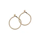 Blomdahl Ear Ring Ohrringe Titan 15-1351-00