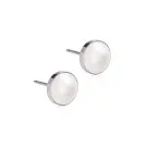 Blomdahl ST Bezel Pearl Ohrringe Titan 15-1406-59