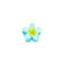 Blanca Haarklemme BL1113