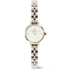 Daniel Wellington Petite Mini Arch DW00100923