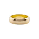 IX Studios Class Ring Silber Vergoldet DMN0295GD