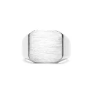 IX Studios Octagon Signet Ring Silber DMN0290RH
