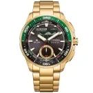 Citizen Promaster Wave Tracker JV3002-51E