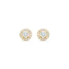 Diamond Dream Rosette Ohrringe Gold 0,36 ct. 01-511010
