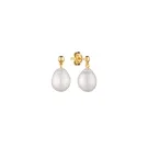 Gaura Natural Pearls Pearl Ohrringe Silber Vergoldet MS24495YE