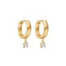 Velara Lione Crystal Pendant Drops Ohrringe Edelstahl Vergoldet VLR1013