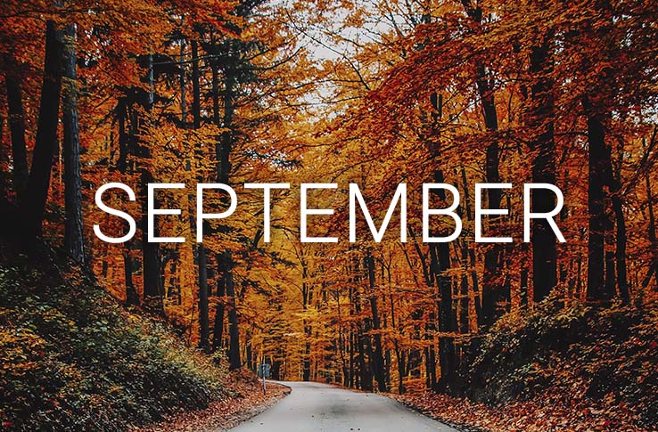Ein Herbstwald mit dem Text September