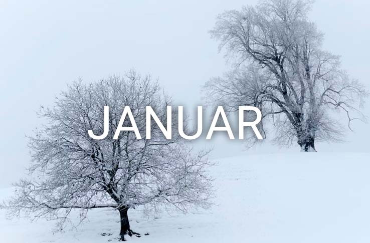 Zwei Bäume im Schnee mit dem Text Januar