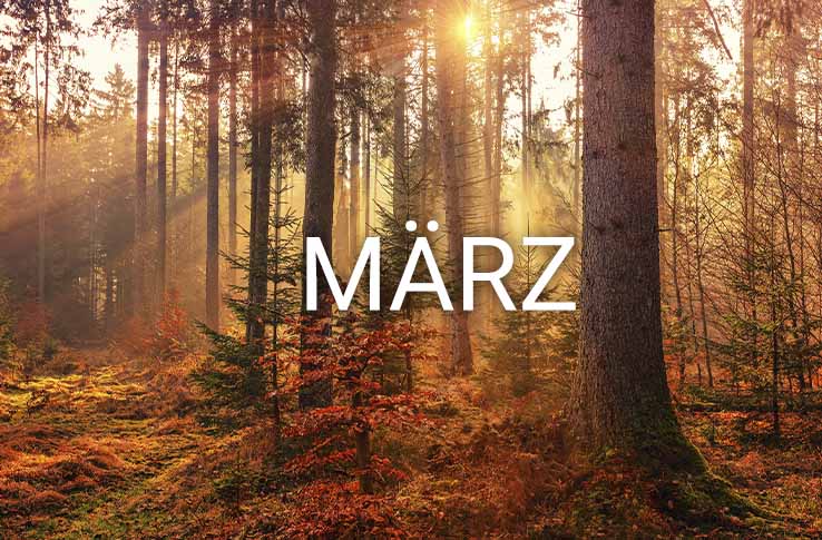 Ein Wald mit Frühlingsfarben und dem Text März